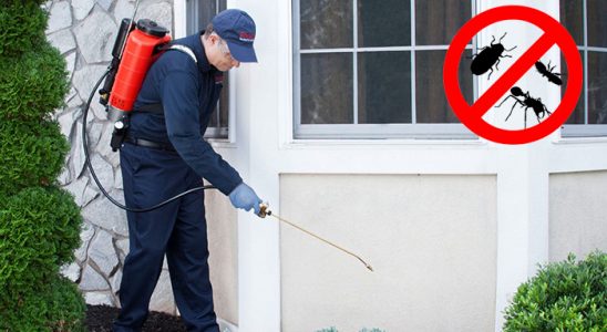Bafra Hamam Böceği İlaçlama böcek ilaçlama ve haşere kontrolü — ilaclama-tr.com